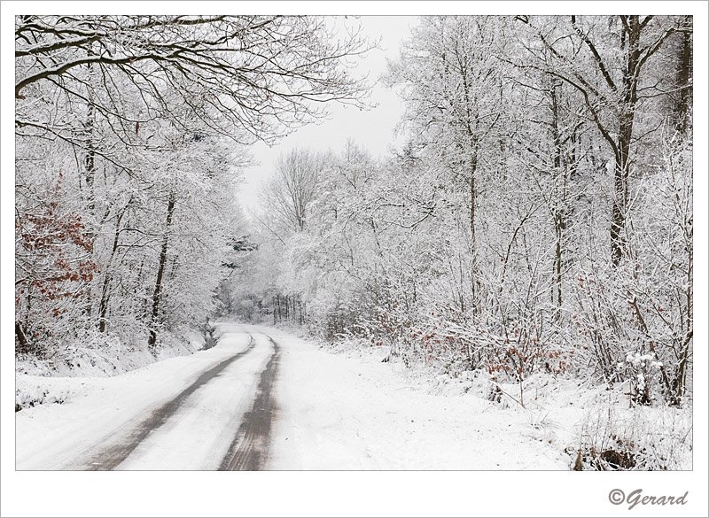 Verkensbos 7.jpg - Verkensbos